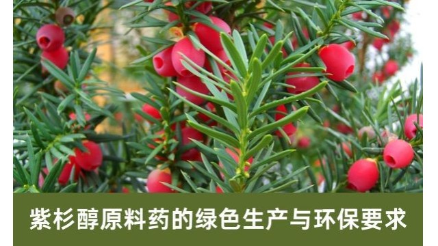 紫杉醇原料药的绿色生产与环保要求