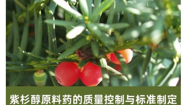 紫杉醇原料药的质量控制与标准制定