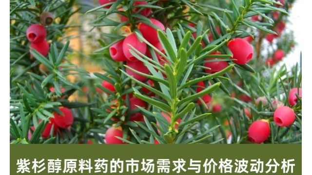 紫杉醇原料药的市场需求与价格波动分析