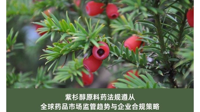 紫杉醇原料药法规遵从：全球药品市场监管趋势与企业合规策略