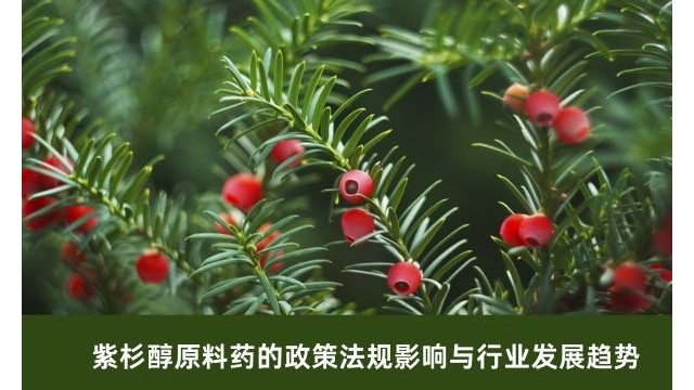 紫杉醇原料药的政策法规影响与行业发展趋势