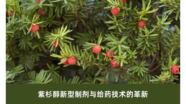 紫杉醇新型制剂与给药技术的革新