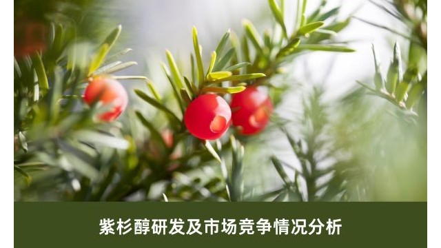 紫杉醇研发及市场竞争情况分析