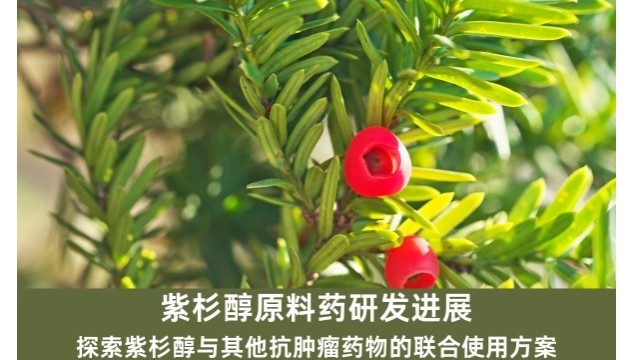 紫杉醇原料药研发进展：探索紫杉醇与其他抗肿瘤药物的联合使用方案