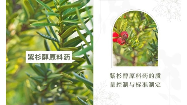 紫杉醇原料药的质量控制与标准制定