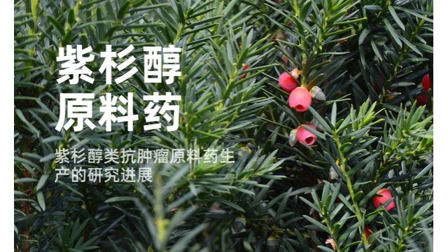 紫杉醇类抗肿瘤原料药生产的研究进展