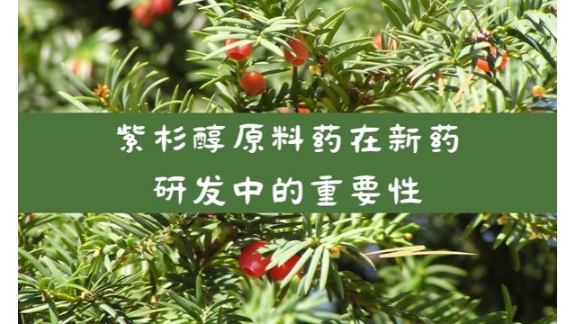 紫杉醇原料药在新药研发中的重要性