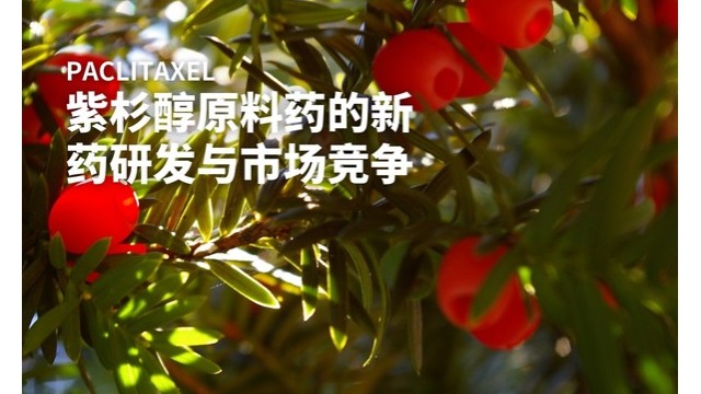 紫杉醇原料药的新药研发与市场竞争