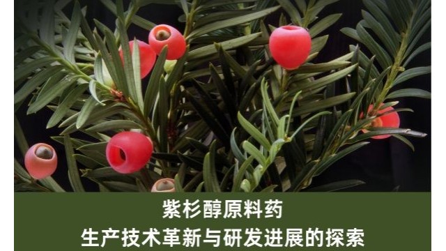 紫杉醇原料药：生产技术革新与研发进展的探索