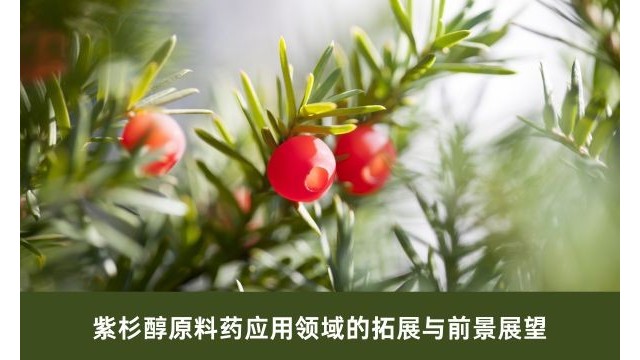 紫杉醇原料药应用领域的拓展与前景展望